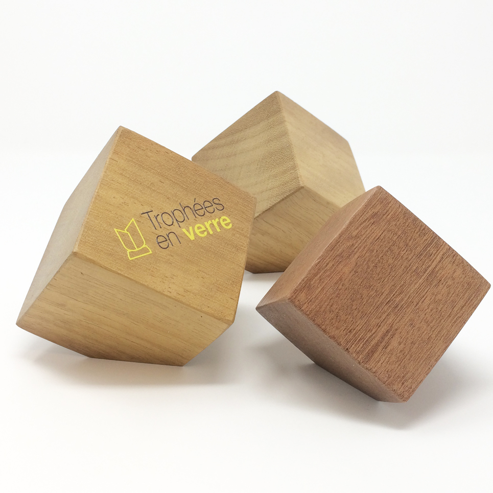 Trophée en bois cube pan coupé